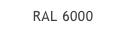RAL 6000